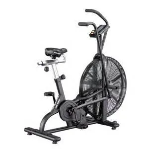 Assault AirBike Classic