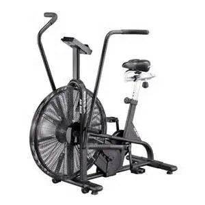 Assault AirBike Classic